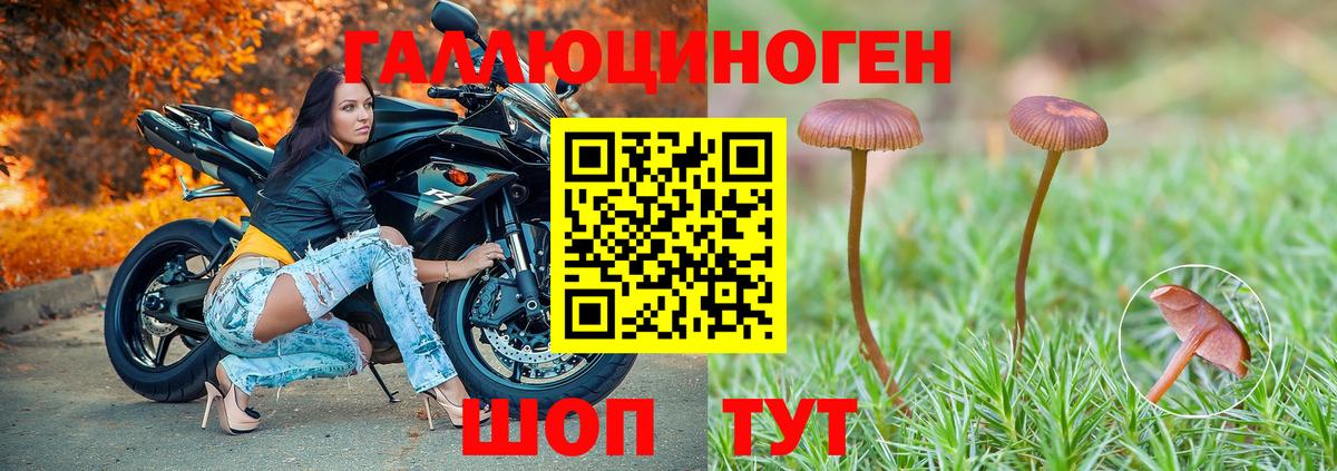 Галлюциногенные грибы Magic Shrooms Красноуфимск